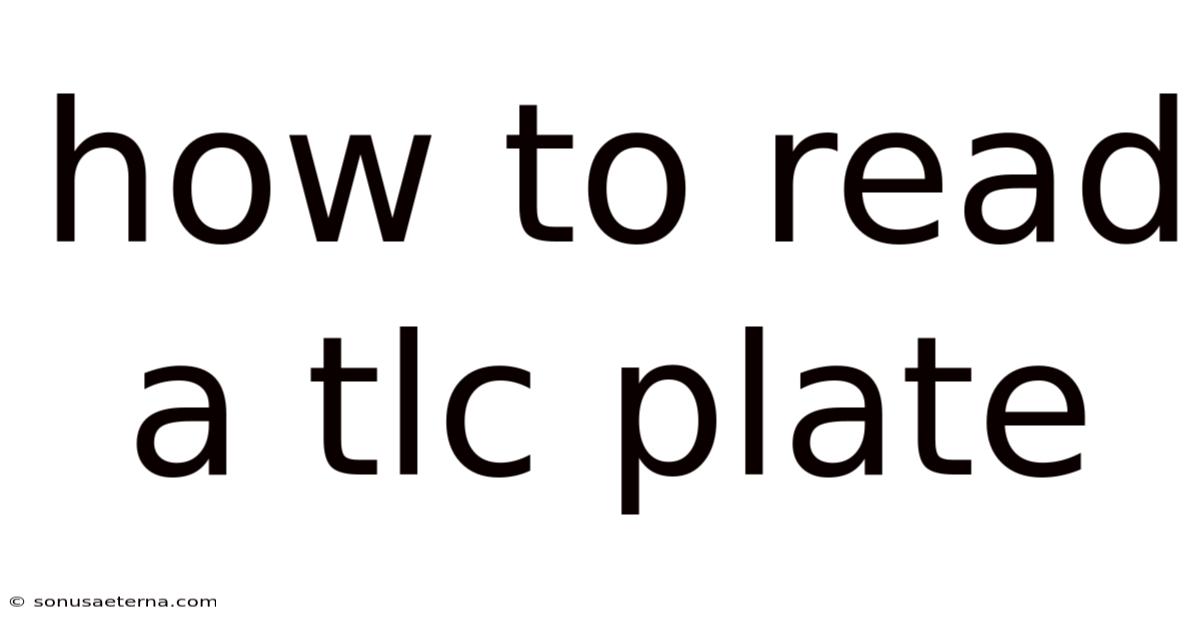 How To Read A Tlc Plate