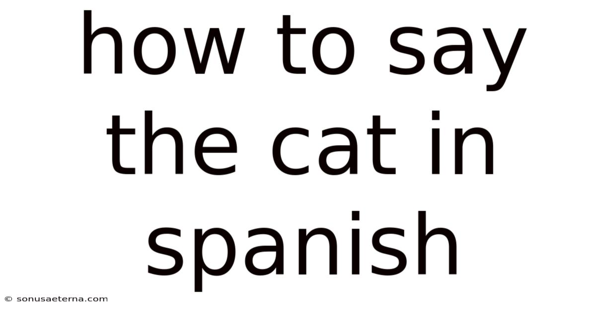 How To Say The Cat In Spanish