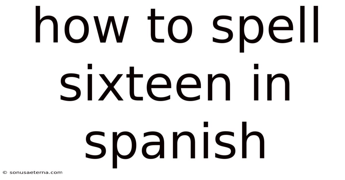 How To Spell Sixteen In Spanish