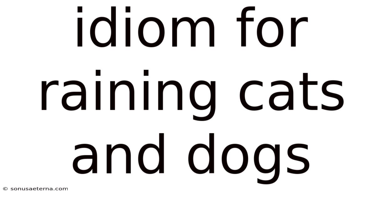 Idiom For Raining Cats And Dogs
