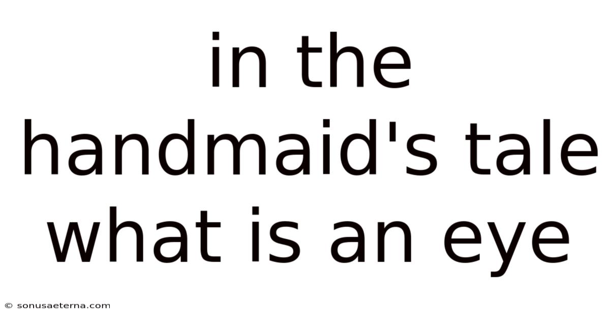 In The Handmaid's Tale What Is An Eye