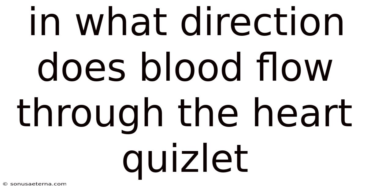 In What Direction Does Blood Flow Through The Heart Quizlet