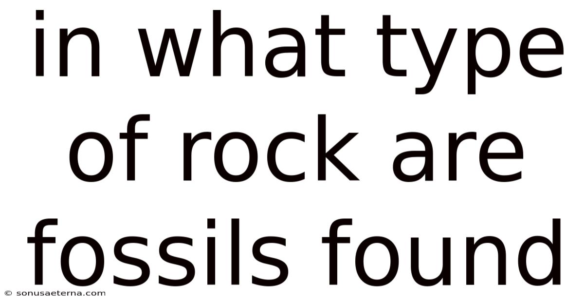 In What Type Of Rock Are Fossils Found