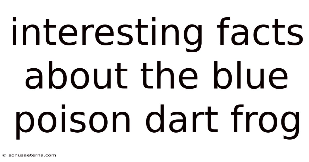 Interesting Facts About The Blue Poison Dart Frog