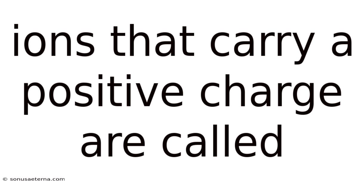 Ions That Carry A Positive Charge Are Called