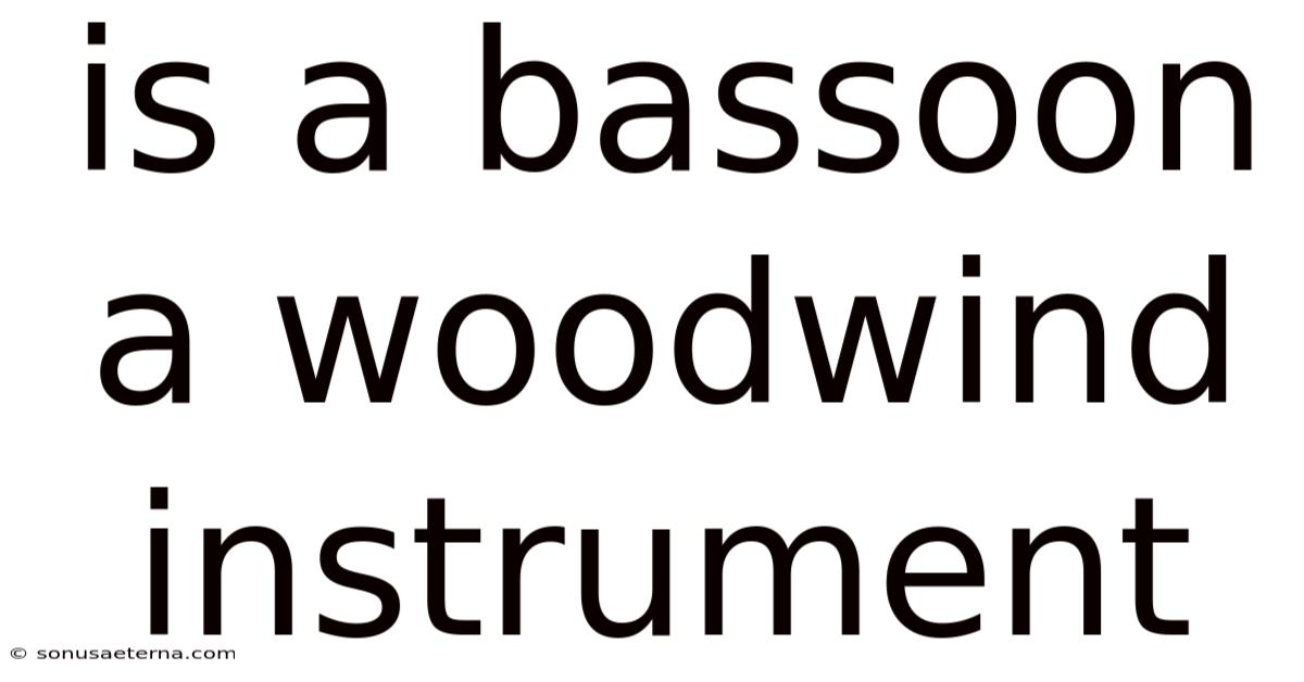 Is A Bassoon A Woodwind Instrument