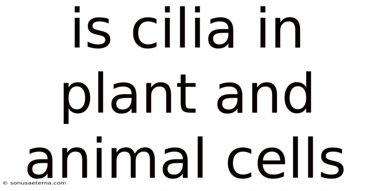 Is Cilia In Plant And Animal Cells