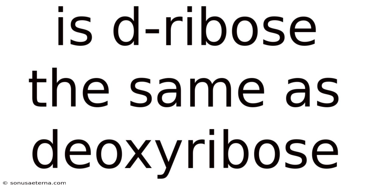 Is D-ribose The Same As Deoxyribose