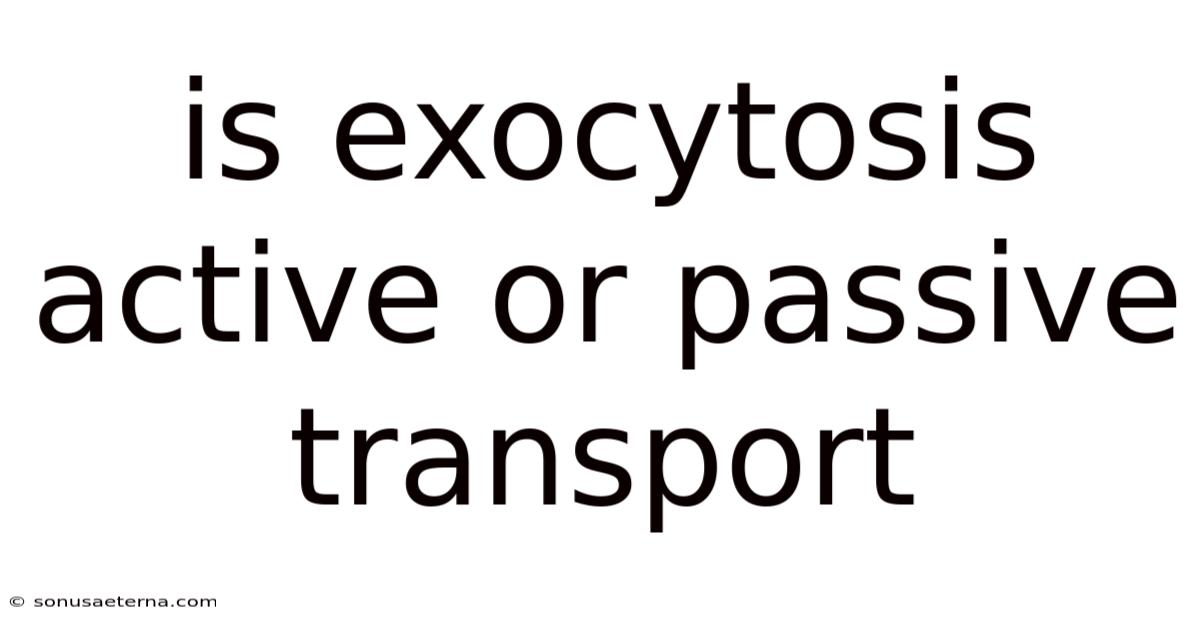 Is Exocytosis Active Or Passive Transport