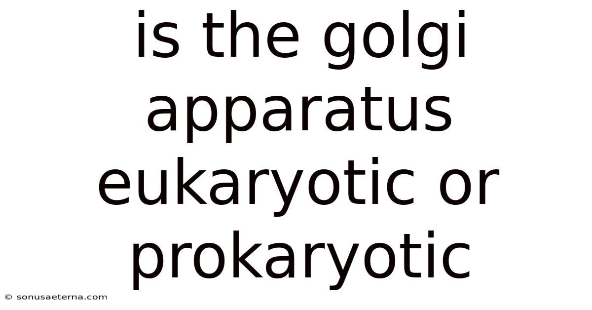 Is The Golgi Apparatus Eukaryotic Or Prokaryotic