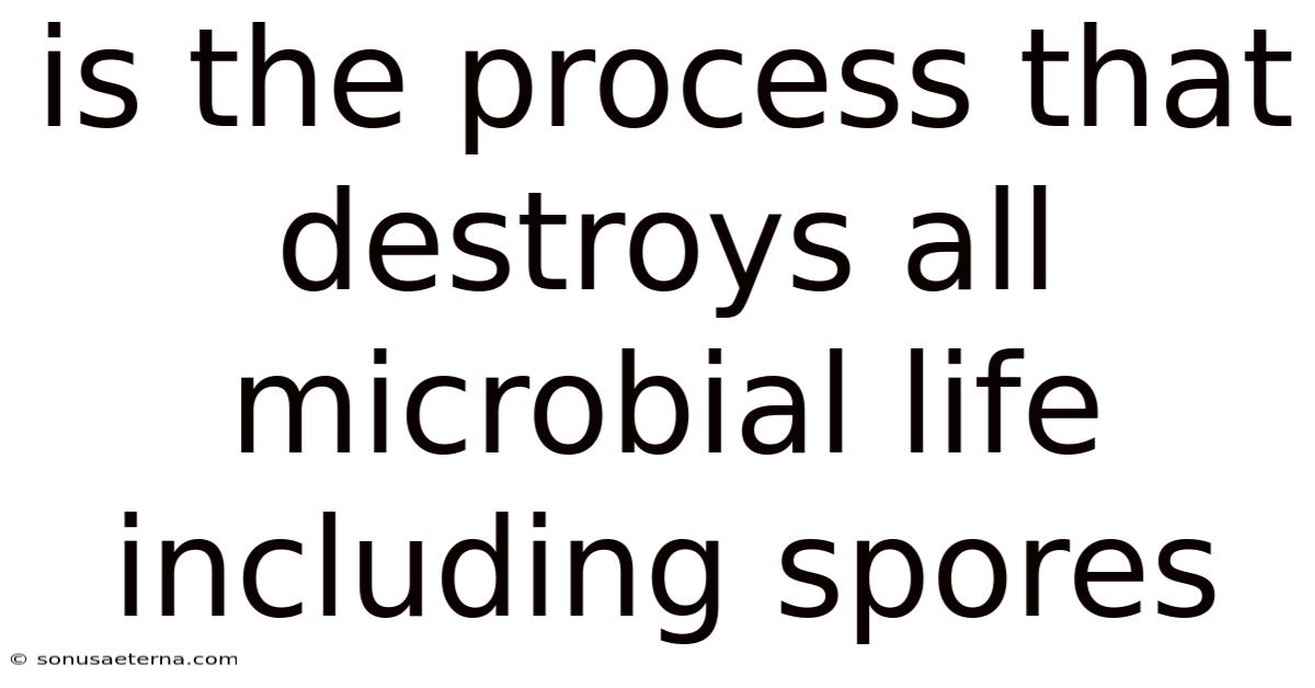 Is The Process That Destroys All Microbial Life Including Spores