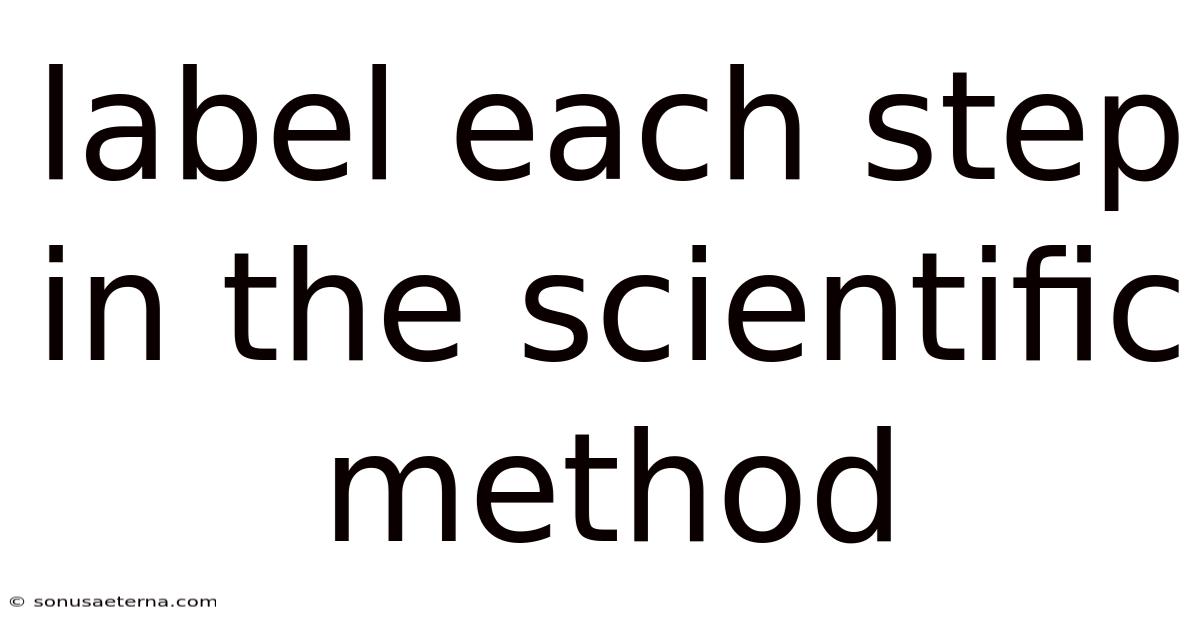 Label Each Step In The Scientific Method