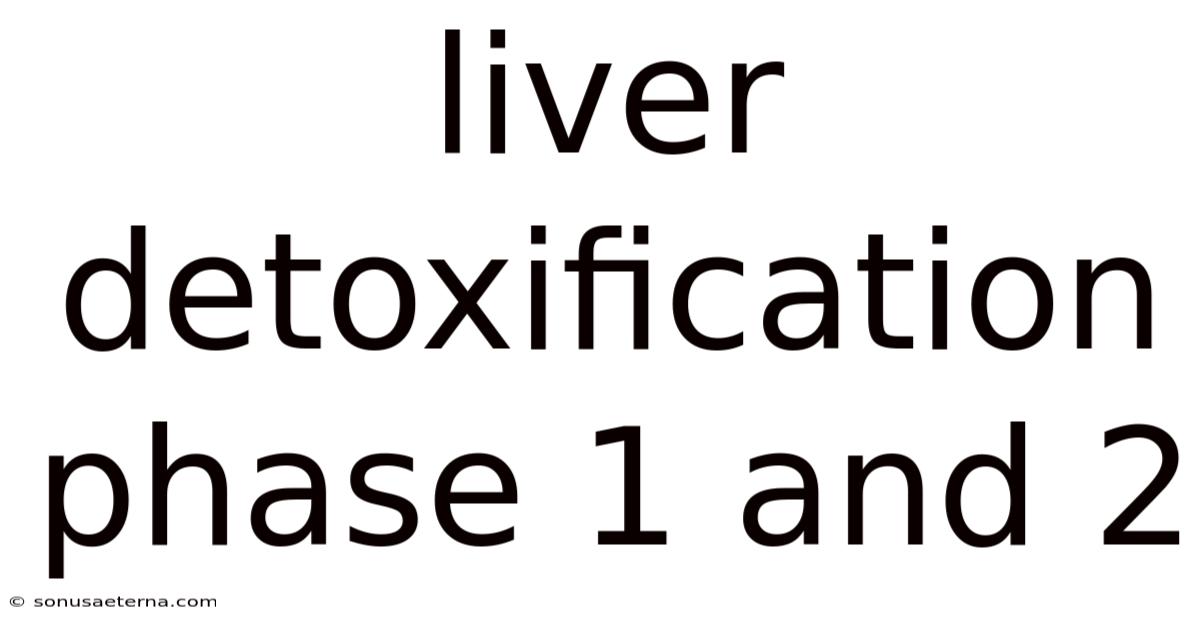 Liver Detoxification Phase 1 And 2