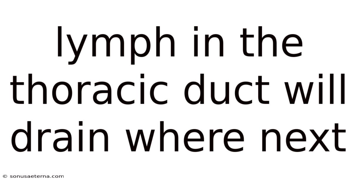 Lymph In The Thoracic Duct Will Drain Where Next
