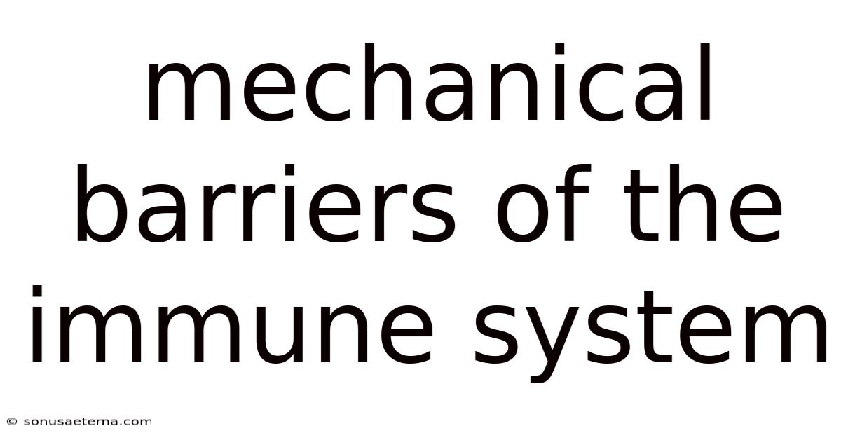 Mechanical Barriers Of The Immune System