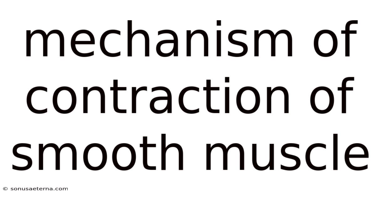 Mechanism Of Contraction Of Smooth Muscle
