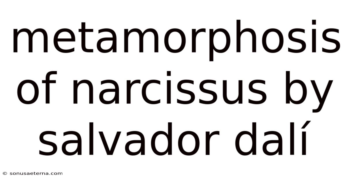 Metamorphosis Of Narcissus By Salvador Dalí