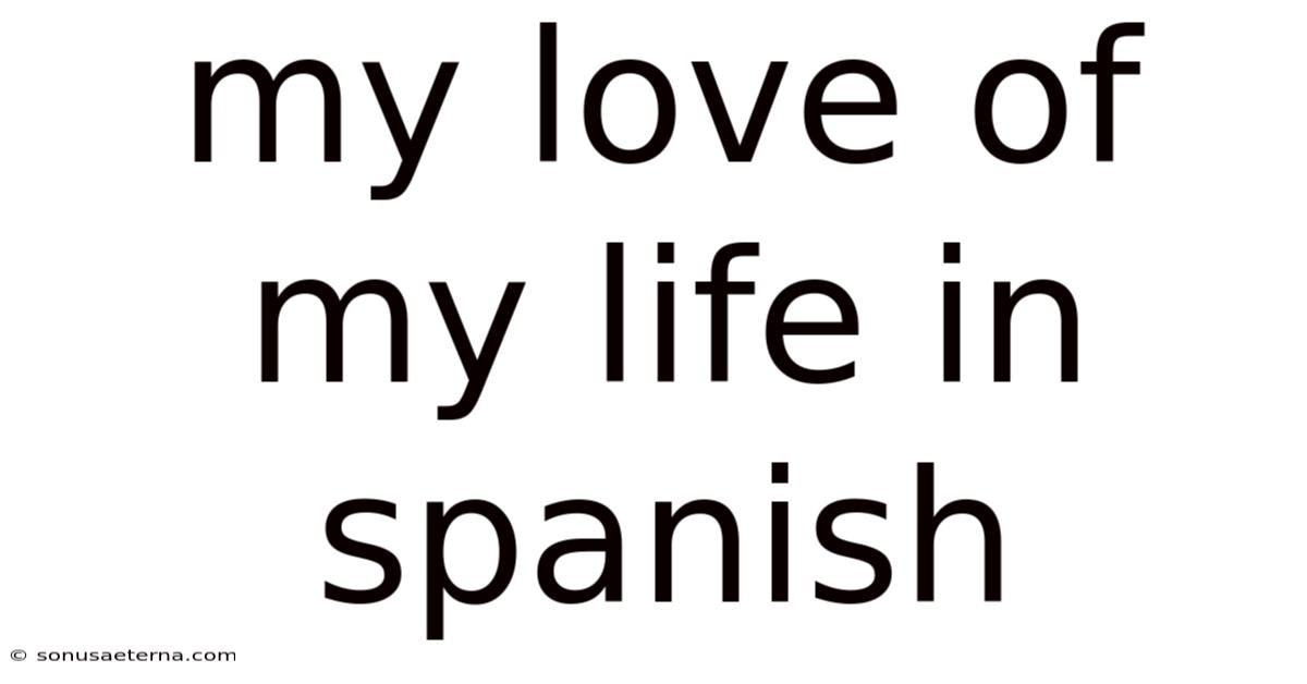 My Love Of My Life In Spanish