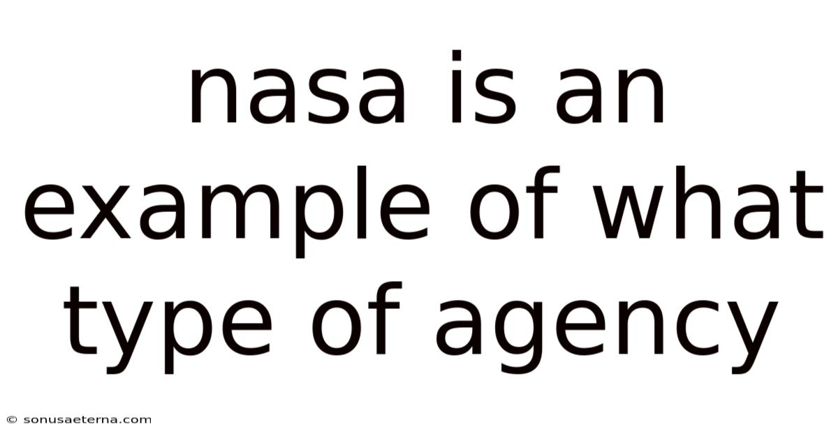 Nasa Is An Example Of What Type Of Agency