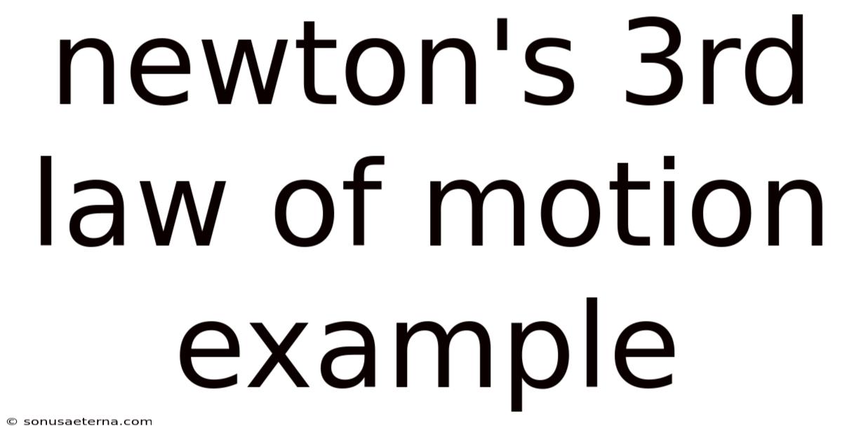 Newton's 3rd Law Of Motion Example