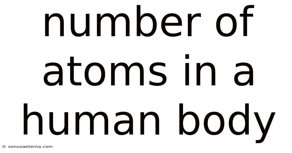 Number Of Atoms In A Human Body