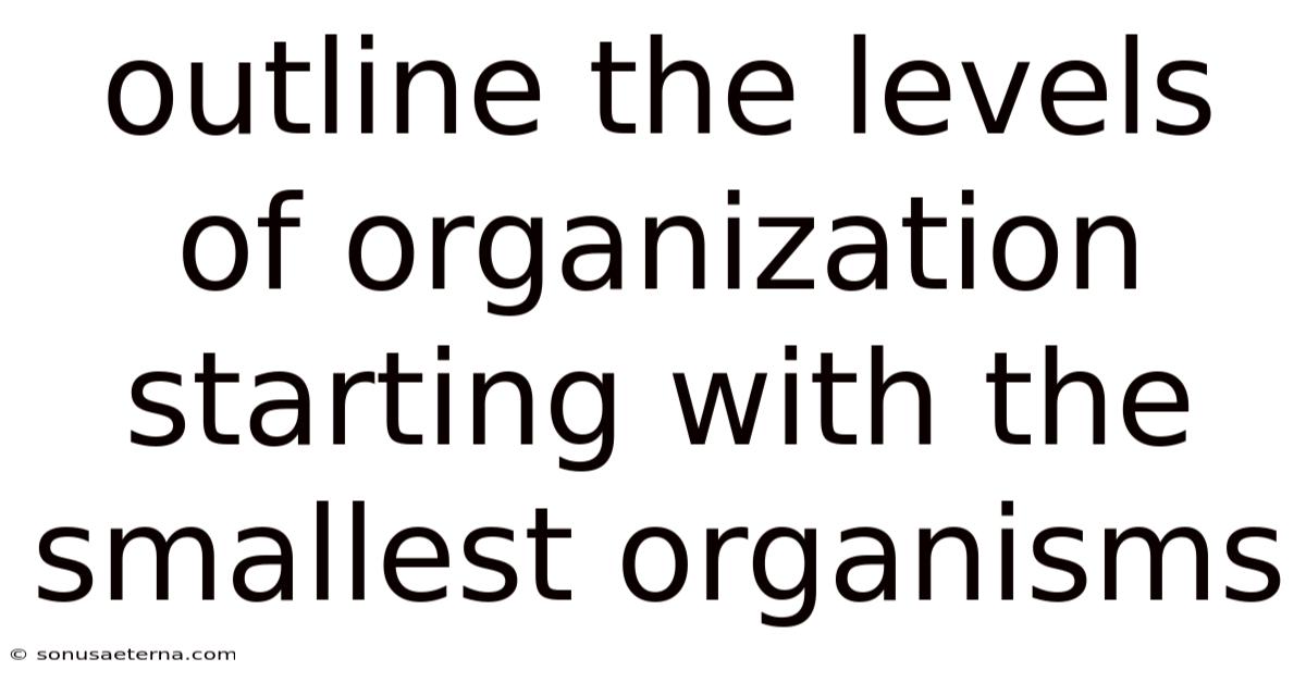 Outline The Levels Of Organization Starting With The Smallest Organisms
