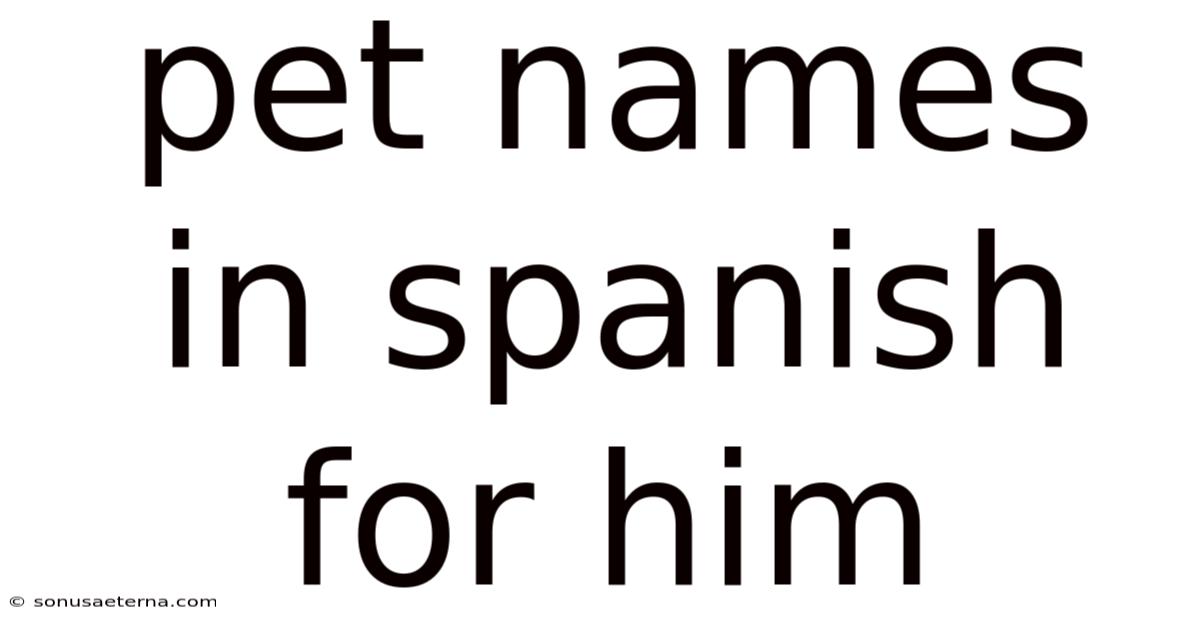 Pet Names In Spanish For Him