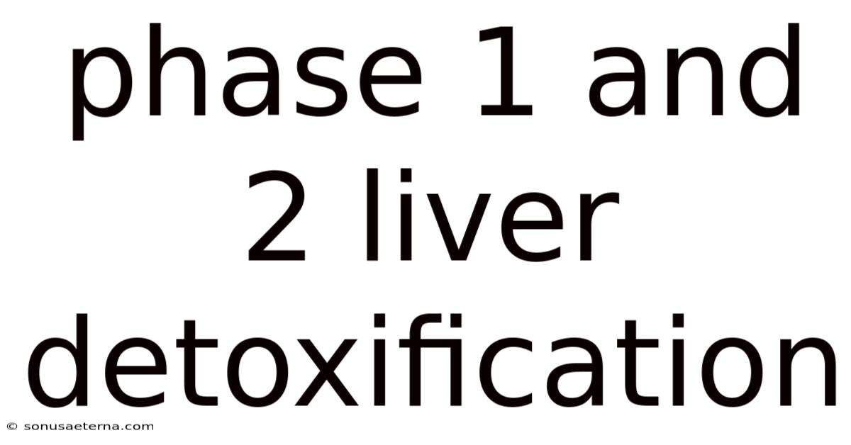 Phase 1 And 2 Liver Detoxification