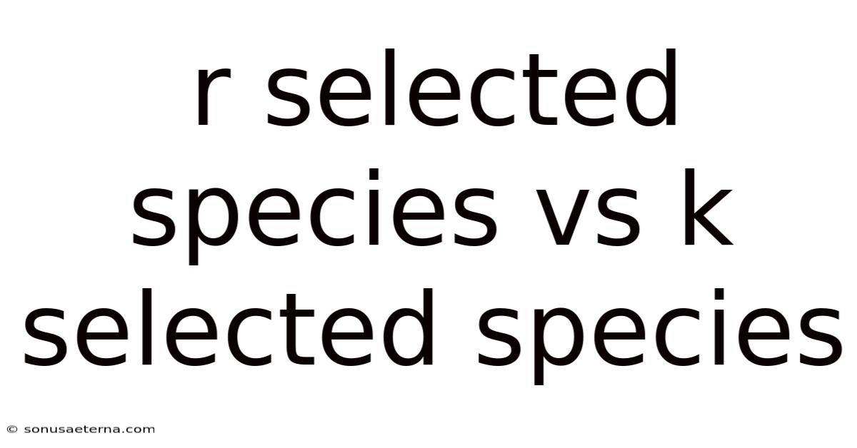 R Selected Species Vs K Selected Species