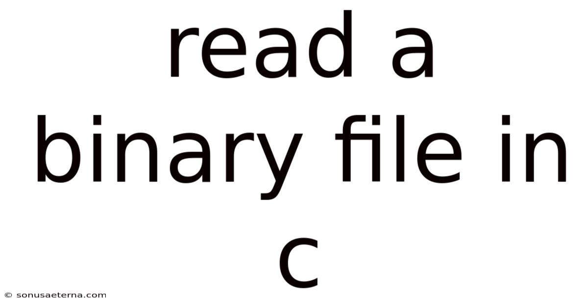 Read A Binary File In C