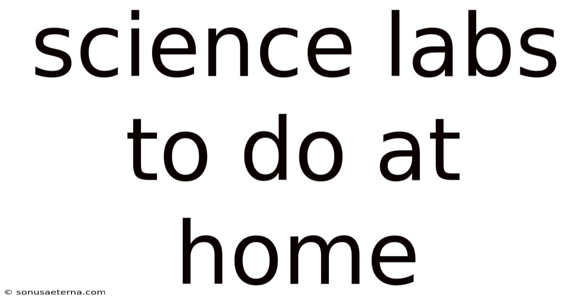 Science Labs To Do At Home