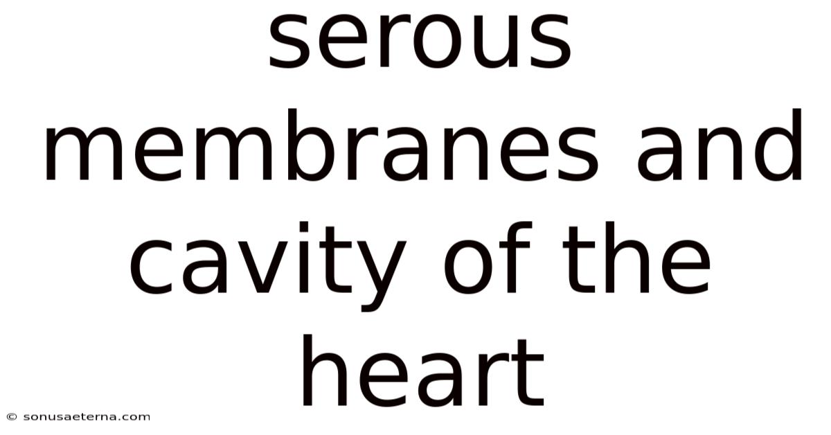 Serous Membranes And Cavity Of The Heart
