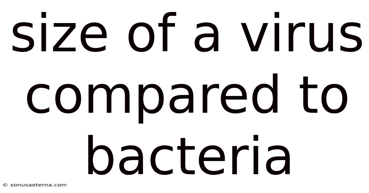 Size Of A Virus Compared To Bacteria