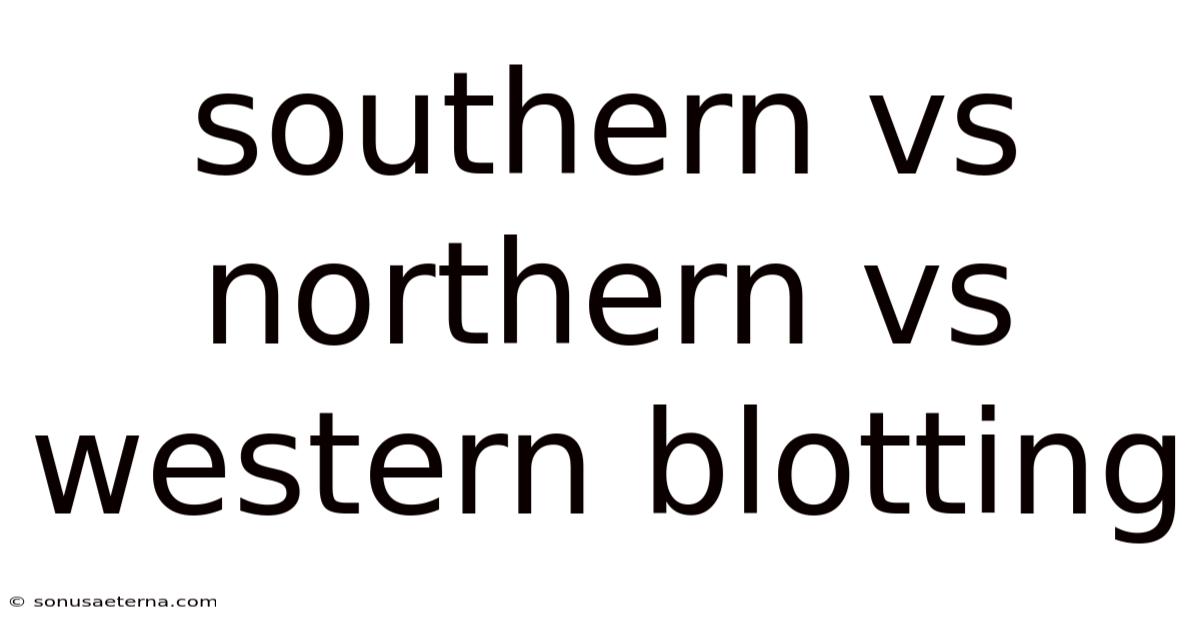 Southern Vs Northern Vs Western Blotting