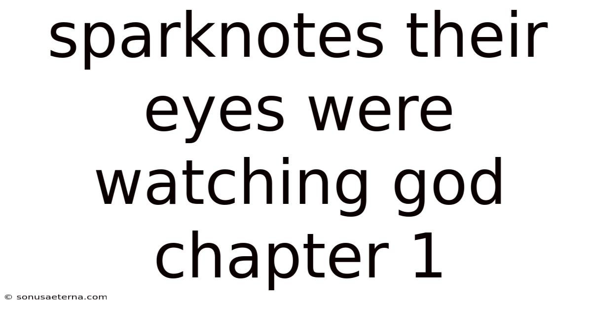 Sparknotes Their Eyes Were Watching God Chapter 1