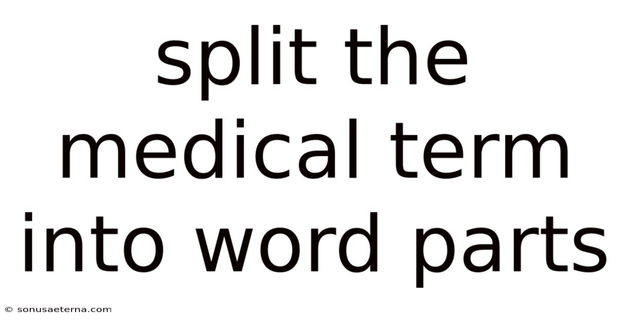 Split The Medical Term Into Word Parts