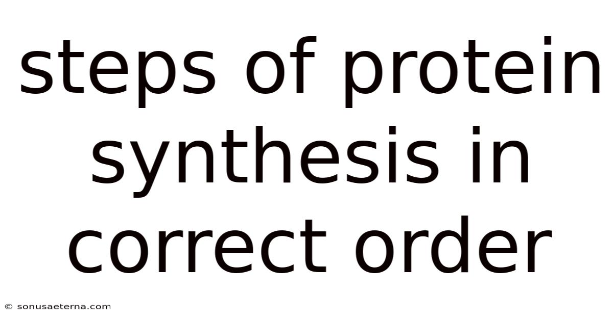 Steps Of Protein Synthesis In Correct Order
