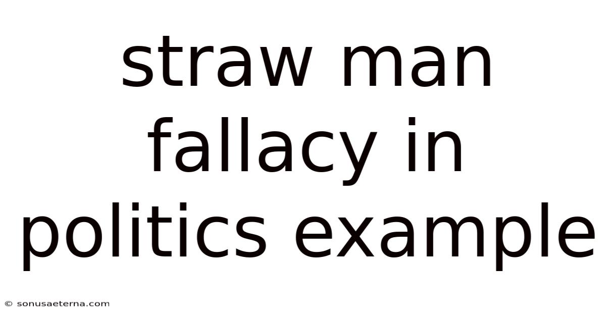 Straw Man Fallacy In Politics Example
