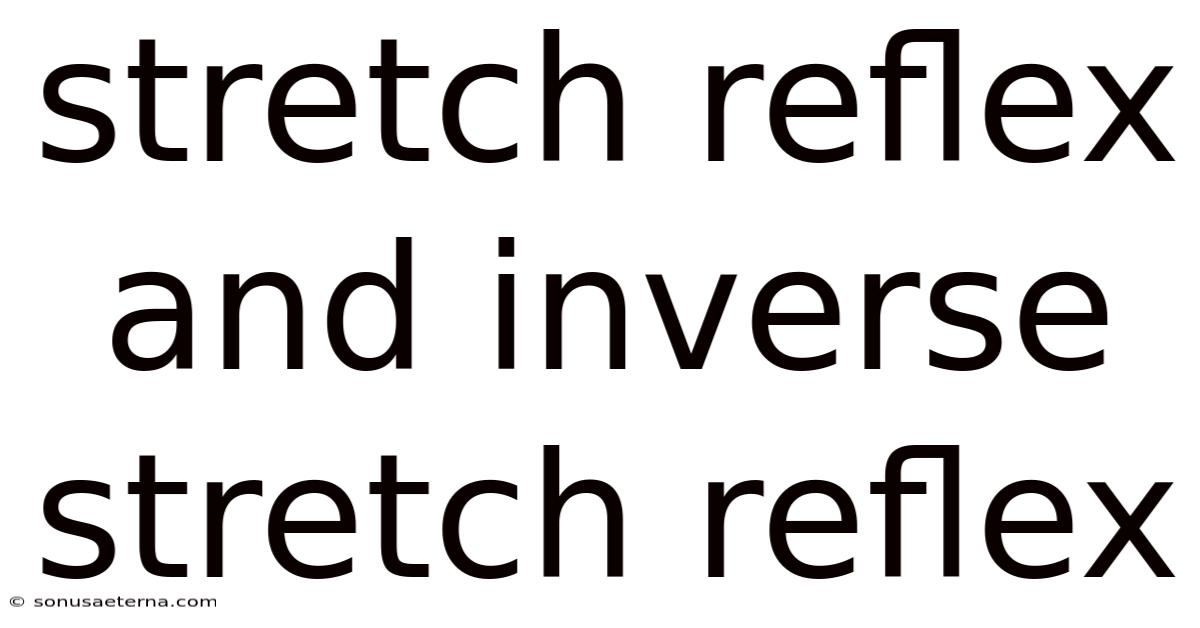 Stretch Reflex And Inverse Stretch Reflex
