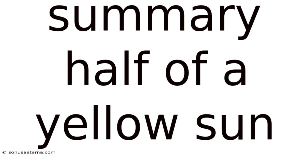 Summary Half Of A Yellow Sun