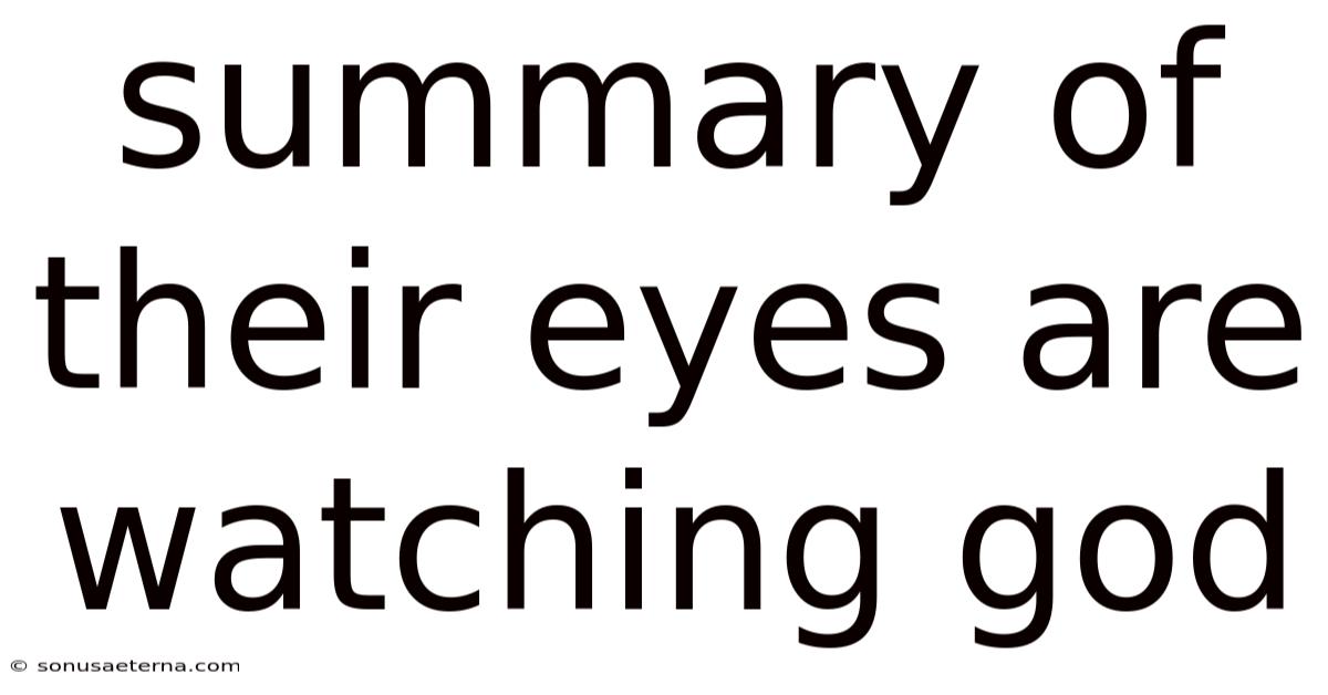 Summary Of Their Eyes Are Watching God