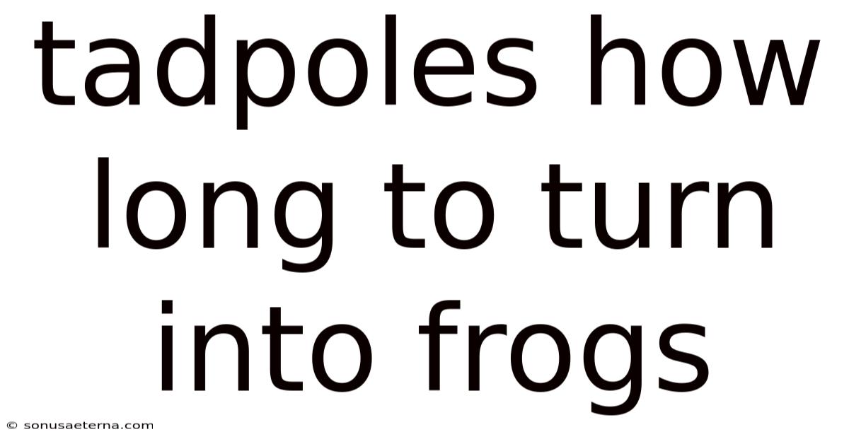 Tadpoles How Long To Turn Into Frogs