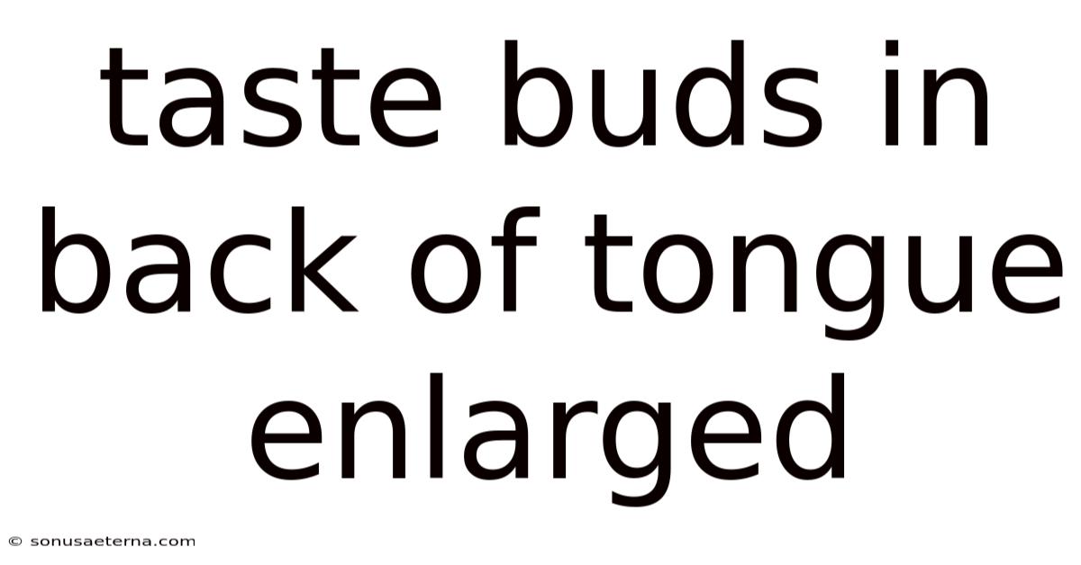 Taste Buds In Back Of Tongue Enlarged