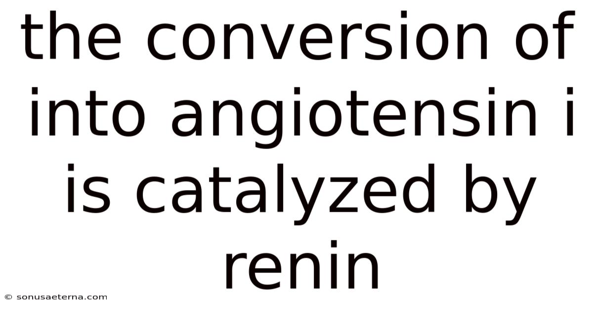 The Conversion Of Into Angiotensin I Is Catalyzed By Renin