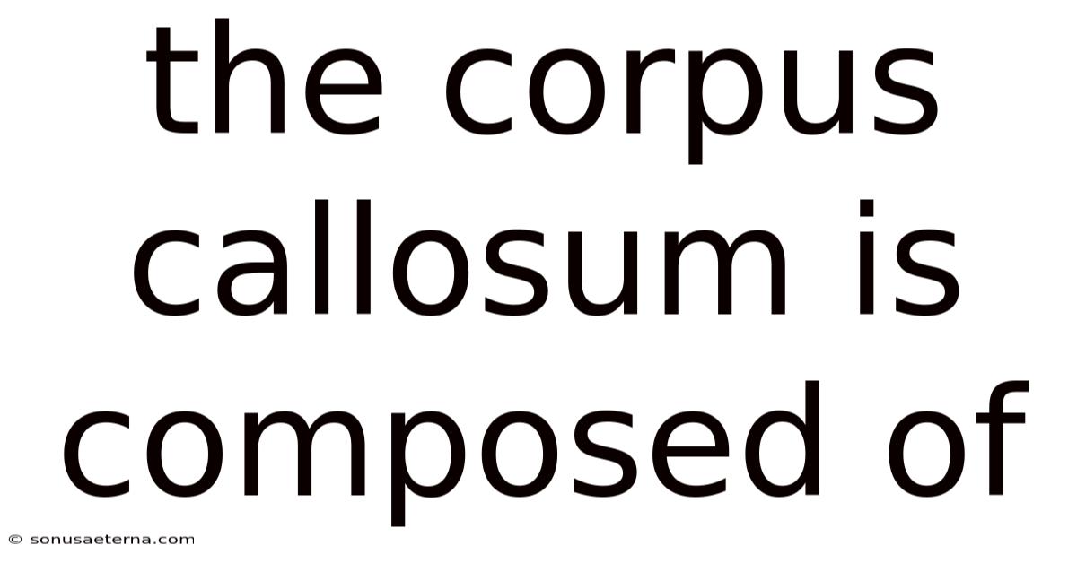 The Corpus Callosum Is Composed Of