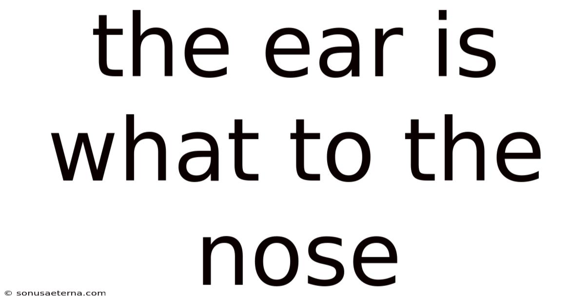 The Ear Is What To The Nose