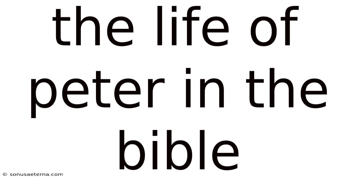 The Life Of Peter In The Bible
