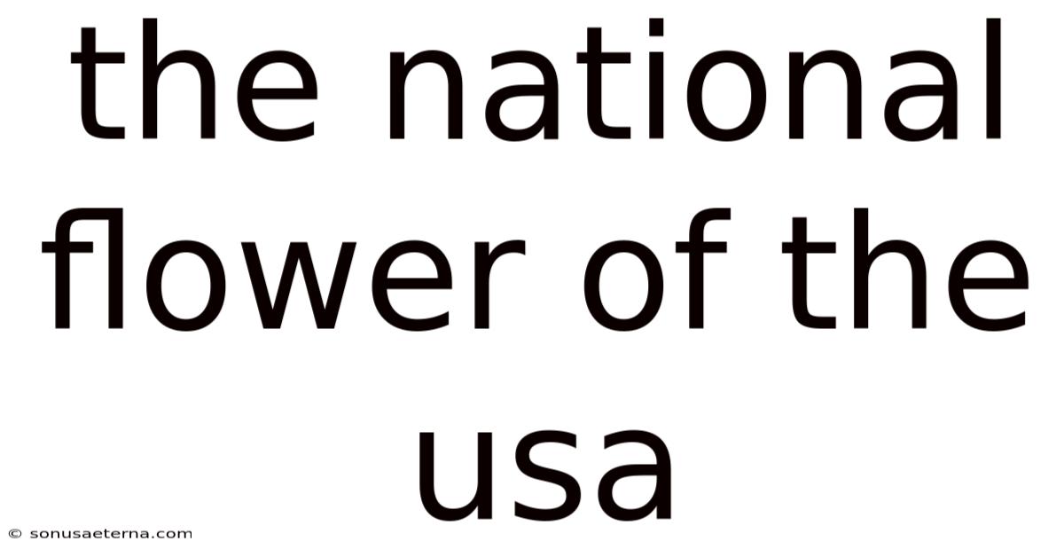 The National Flower Of The Usa
