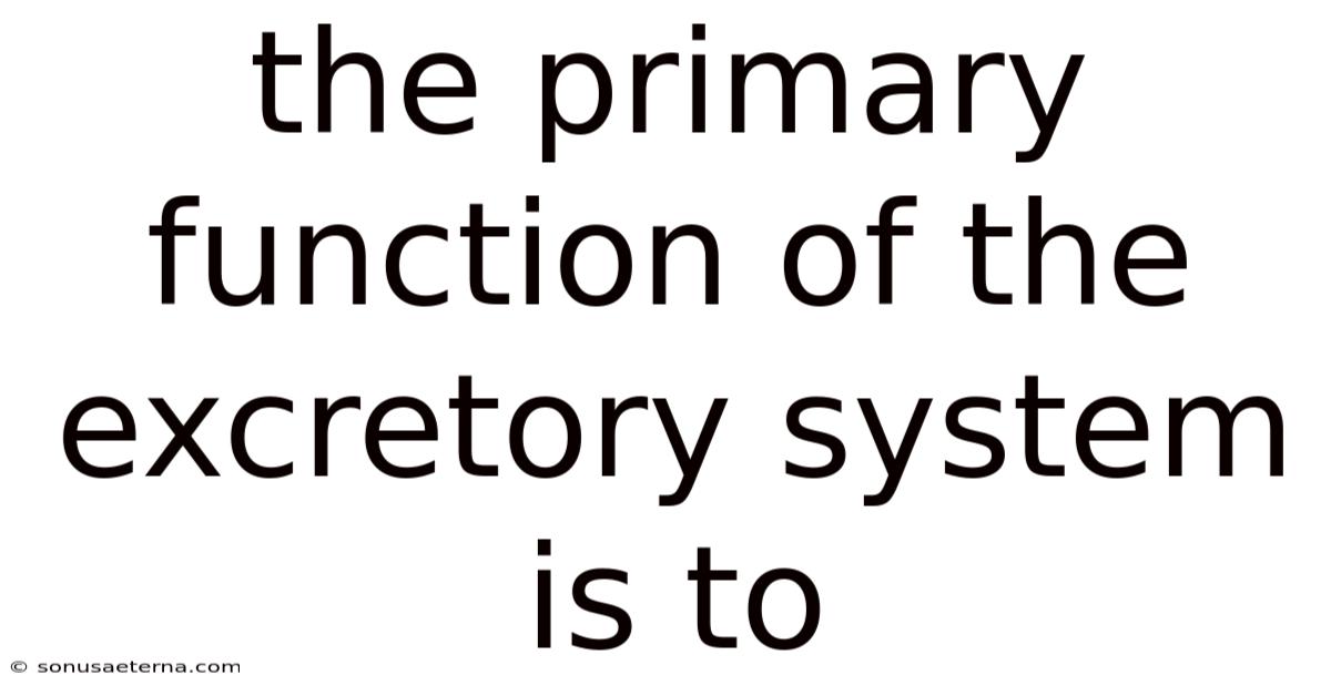 The Primary Function Of The Excretory System Is To