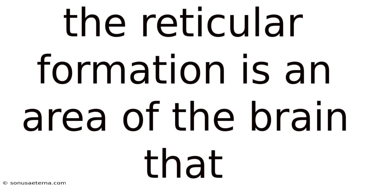 The Reticular Formation Is An Area Of The Brain That